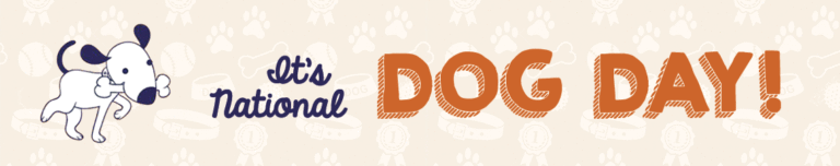 National Dog Day puppy proposal Blog Header